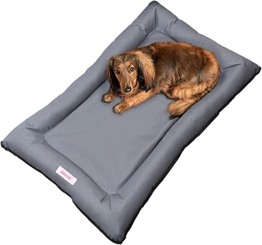 DBD3004C-M Archie 29.5" x 22.5" Traditional Oxford Waterproof Indoor/Outdoor Hand-Washable Memory Foam Camping Pet Bed, Charcoal