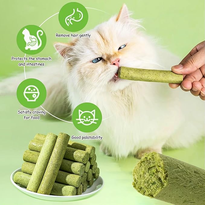 HavenJanny 100g Cat Grass Teething Stick, Freezed Drying Cat Grass Sticks Snacks for Cats, Edible Cats Treats for Teeth Cleaning and Hairball Removal