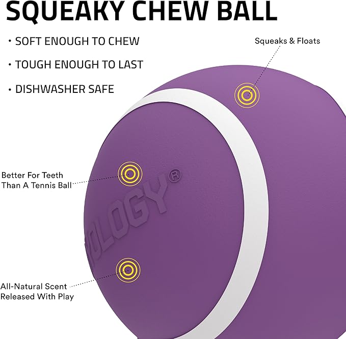 Playology Dog Toys | Squeaky Chew Ball - Squeaky and Bouncy Durable Floating Fetch Ball for Dogs | Jumbo Sweet Potato Scented Toy - Easy to Clean and Made from Non Toxic Materials