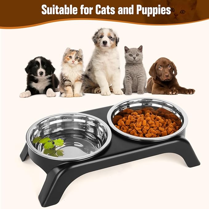 Elevated Cat Bowls, Anti Vomiting Raised Cat Food Bowl with 2 Stainless Steel Bowls, Prevent Neck Pain Cat Bowl Set, ABS Anti Slip Stand Cat Bowls for Indoor Cats & Puppies (Grey)