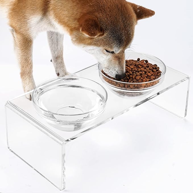Acrylic Elevated Dog Cat Bowls Pet Feeder Double Bowl Raised Stand Comes with 2 Removable Glass Bowls and 2 Stainless Steel Bowls.Perfect for Medium Dogs, 5.5" Tall