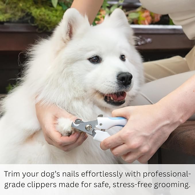 AIXINPET Dog & Cat Nail Clippers and Trimmers - with Free Nail File, Protective Guard to Avoid Over Cutting, Extra Sharp Blade - Suitable for Small to Large Dogs & Cats, Birds and Rabbits (Large)