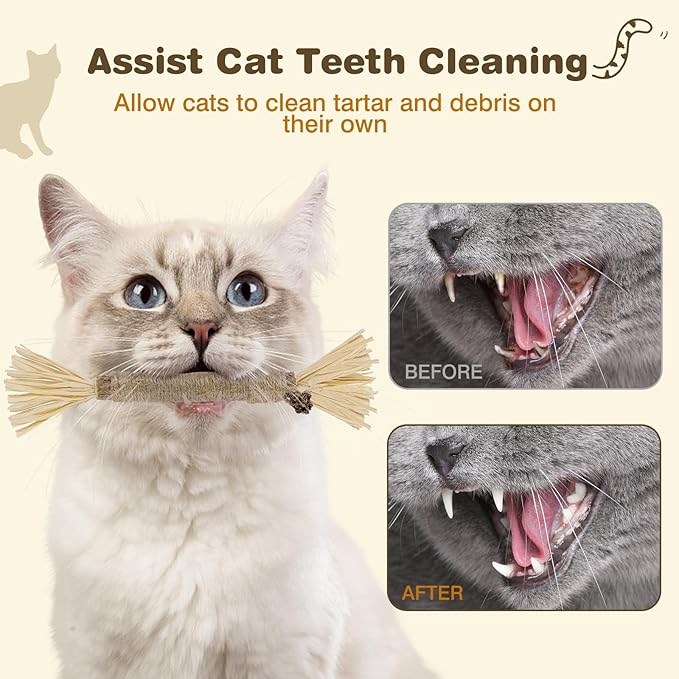 8 Pack Silvervine Sticks for Cats - Cat Chew Toy for Teeth Cleaning, Edible Matatabi Kitty Chew Sticks, Catnip Cat Toys for Indoor Cats