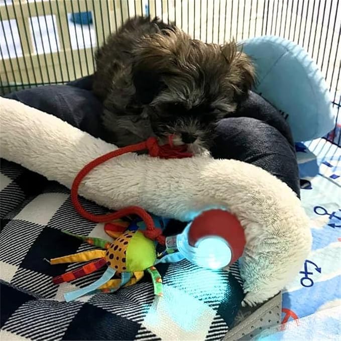 Interactive Dog Cat Toy Ball, Automatic Moving Bouncing Rolling, with 3 Mode Adjustable Speed, Pet Smart Chase Ball Rechargeable, Enrichment Toys for Bored Indoor Adult Cats/Dogs