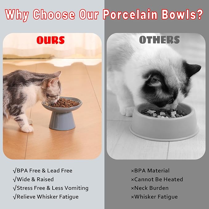 Extra Wide 6.1" Ceramic Raised Cat Food Bowl, Shallow Elevated Pet Feeder for Food Feeding, Anti Vomiting Whisker Fatigue Bowls for Cat Puppy, Blue
