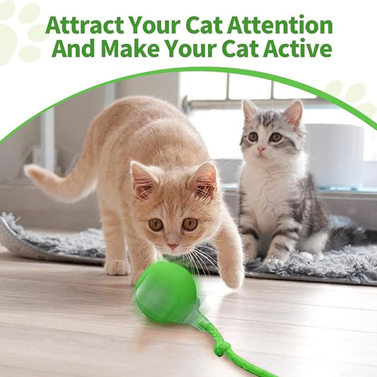2pcs Smart Interactive Pet Toy Ball, Self Rolling Dog Ball Interactive Cat Toys, 360° Smart Automatic Rolling Ball Toy for Dogs Cats Indoor Outdoor Play (Green&Grey)