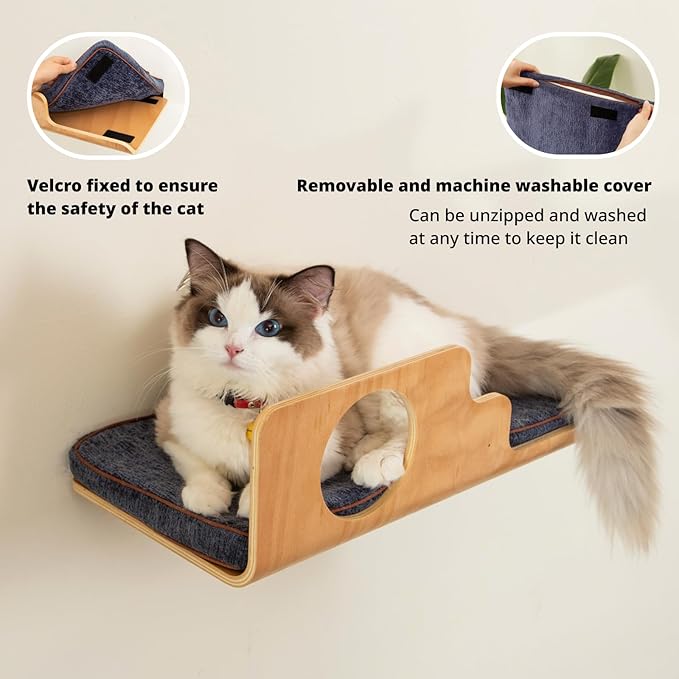 Cat Wall Shelves, Creative Design Cat Shelf with Peephole, 19 x 10 inch Cats Wall Furniture with Comfortable Pad, Cats Perch for Sleeping, Playing, and Scratching.