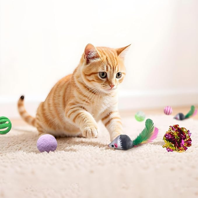 AGYM Cat Toys for Indoor Cats, 35 Packs Interactive Cat Toys Set with Colorful Springs, Mouse Cat Toy, Crinkle, Sisal, Pompom and Color Bells Balls for Kittens