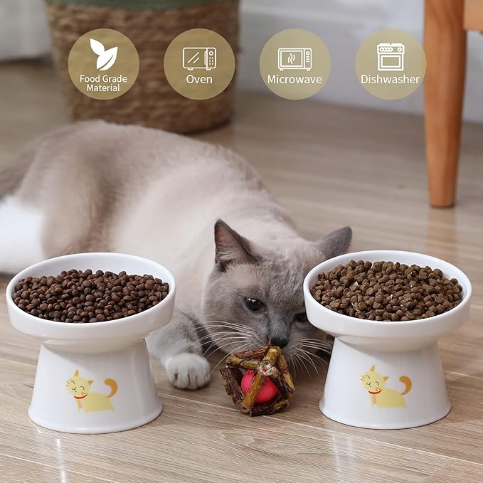 AOMRYOM Elevated Tilted Cat Bowl Set, Ceramic Feeder Bowls for Cats and Small Dog, Porcelain Raised Pet Dish, Stress Free, White, Set of 2