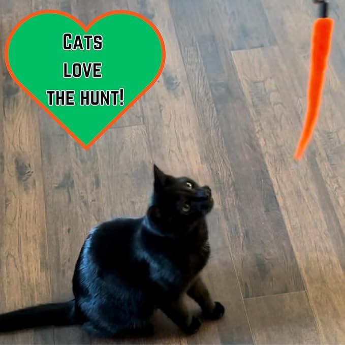 Smokey's Stash Interactive Cat Toy Wand 2pc Cat Fishing Pole Cat Toy for Indoor Cats with Feather and Funny Toy Refills to Drive Kittens Crazy