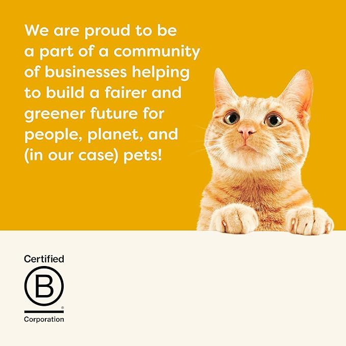 Applaws Natural Wet Cat Food in Gravy, Limited Ingredient Canned Wet Cat Food, No Additives, Made with Natural Ingredients, Chicken Breast in Gravy (24 x 2.47oz Cans)