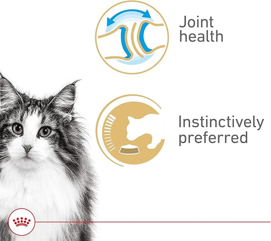 Royal Canin Feline Health Nutrition Aging 12+ Thin Slices In Gravy Canned Cat Food, 3 oz Can (24-count)