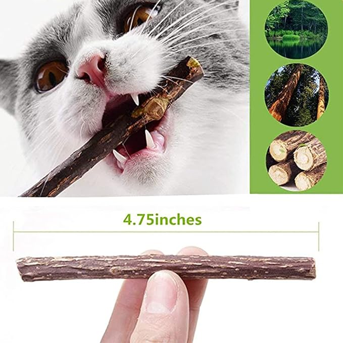 10 PCS Catnip Sticks Organic Cat Chew Toys Natural Plant Matatabi Silvervine Chew Sticks Cat Teeth Cleaning Chew Toy Cat Kitten Kitty 1