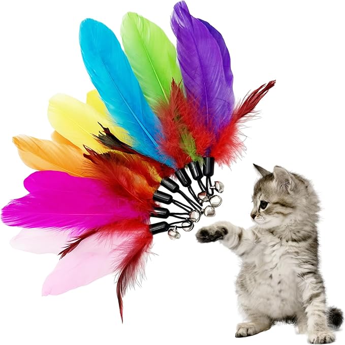 Cat Feather Toys Refill, 16 Pieces Cat Wand Replacement Feathers Toy for Indoor Cats