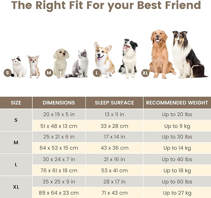 Miguel Washable Faux Linen Cat Beds for Indoor Cats with Removable Cushion Pillow, Easy to Wash Small Dog Bed with Side, Rectangle Kitten Bed Cuddle Puppy Bed with Anti-Slip Bottom, Beige 20 Inch