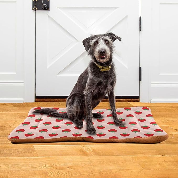 Pet Bed Strawberry Fruit Dog Bed Mat Absorbing Non Slip Pad Pet Sleeping Mat for Small, Medium, and Large Dogs Puppy Cat 24 in x 18 in