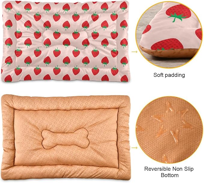 Pet Bed Strawberry Fruit Dog Bed Mat Absorbing Non Slip Pad Pet Sleeping Mat for Small, Medium, and Large Dogs Puppy Cat 24 in x 18 in