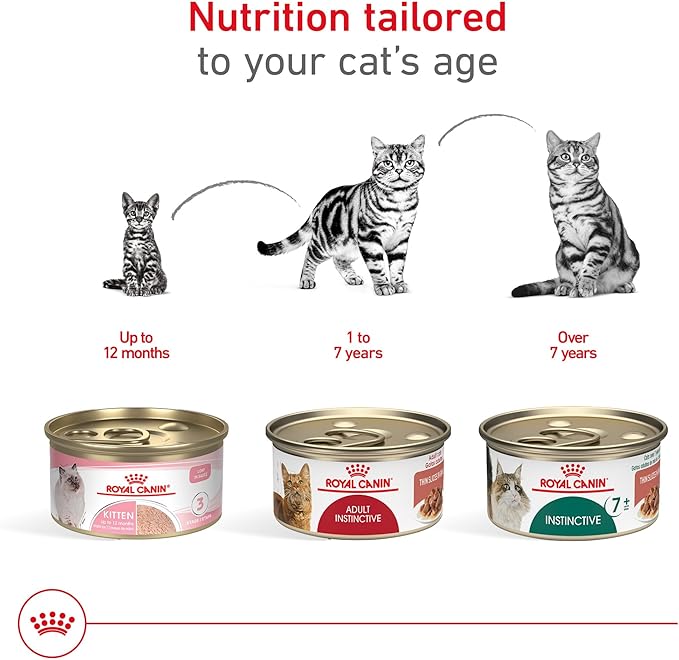 Royal Canin Feline Health Nutrition Adult Instinctive Wet Cat Food Variety Pack, 12 Pack, 2 Varieties, 3 oz Cans