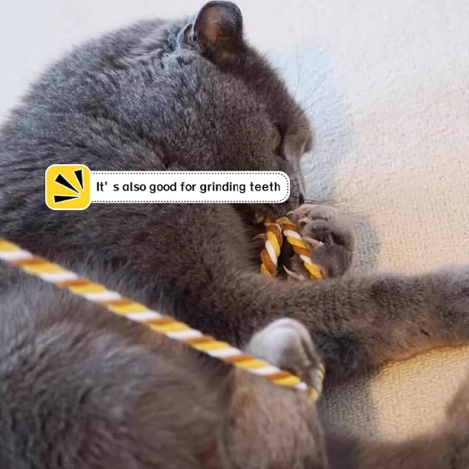 IUHKBH Cat Wands, 3 PCS Colorful Cat String Kitty Teaser Wands with Bell Interactive Kitten Toys for All Breed Sizes