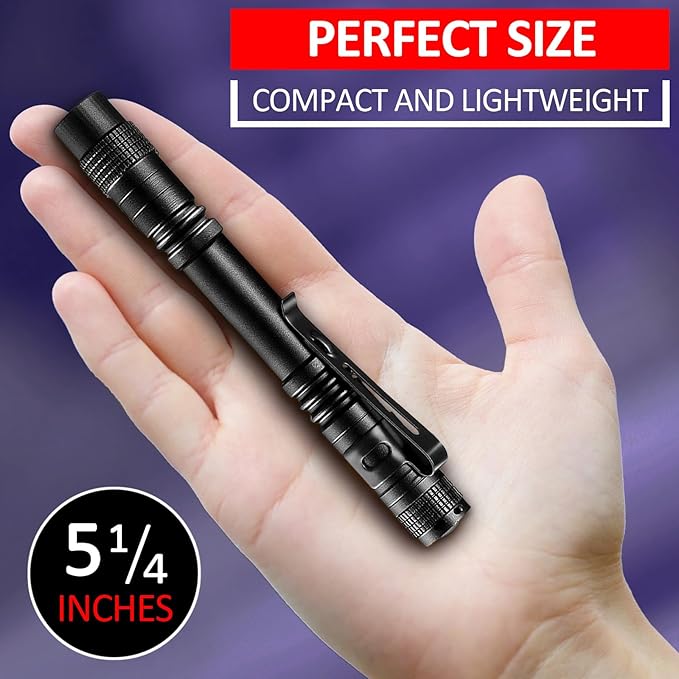 Beieverluck 10 Pack UV Black Light Flashlight Mini 395nm Pen Light with Clip LED Handheld Blacklight Detector for Leak Pet Urine Hotel Inspection Dry Stain and Bed Bug, Large