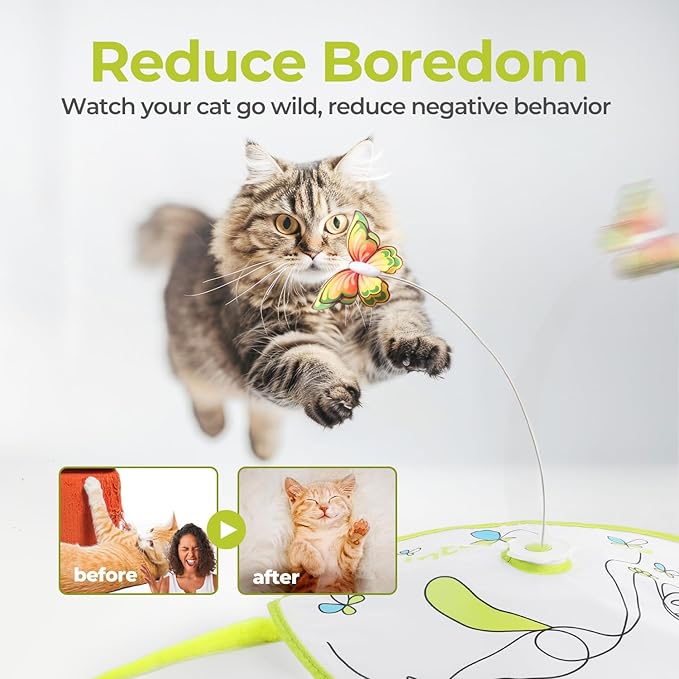 ALL FOR PAWS 2 in 1 Cat Wand Toy - Hide-N-Seek & Flutter with Butterfly Spinner & Moving Feather for Indoor Cats