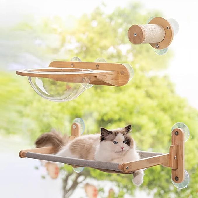Cat Furniture, Rubber Wood, Transparent Capsule Kitten Walls Shelves - Premium Kitty Bed for Sleeping, Playing, Climbing, and Lounging