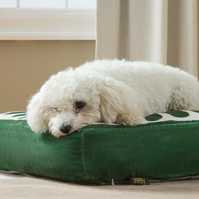 TOWN & COUNTRY LUXE CuddleTown Matisse Everwash® Pillow Pet Bed, Water Repellent Floor Pillow, Machine Washable Cover, Soft & Calming, Green, Small 28"x22"x4"