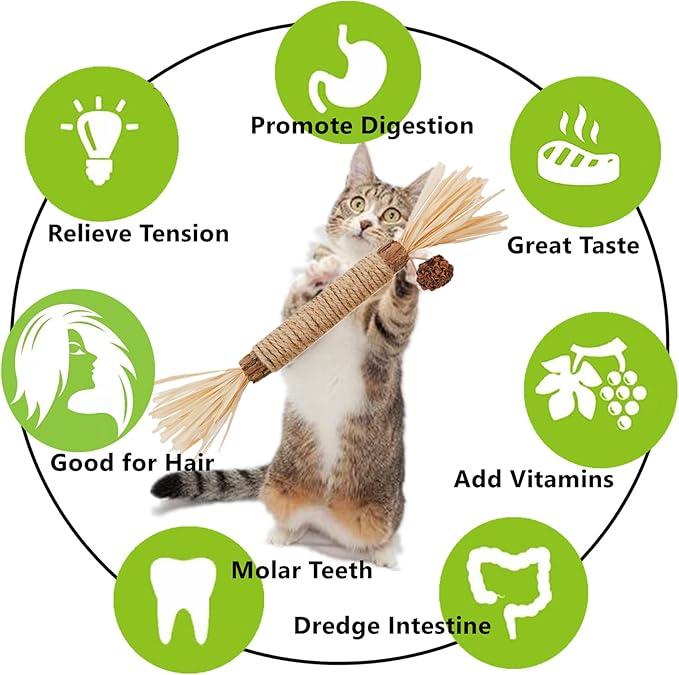 Cat Toys,3PCS Kitten Toys for Indoor Cats Catnip Toy for Chewing Silvervine Stick for Cleaning Teeth Kitty Dental Treat Interactive Toy Kitty Snack Self Play Wand Cat Mint Lick