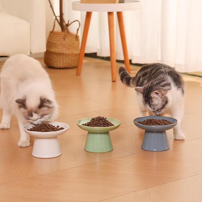 Extra Wide 6.1" Ceramic Raised Cat Food Bowl, Shallow Elevated Pet Feeder for Food Feeding, Anti Vomiting Whisker Fatigue Bowls for Cat Puppy, Blue