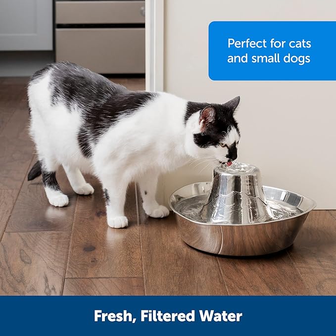 PetSafe Seaside Stainless Pet Fountain - Encourages Hydration - Dual Filtration Removes Odors - Compact Design - Rust Resistant Material - Quiet Motor -