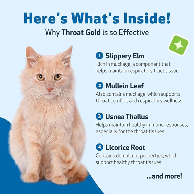 Pet Wellbeing Throat Gold for Cats - Supports Throat Comfort, Upper Respiratory Health, Occasional Throat Hoarseness, Slippery Elm, Mullein - Veterinarian-Formulated Herbal Supplement 2 oz (59 ml)