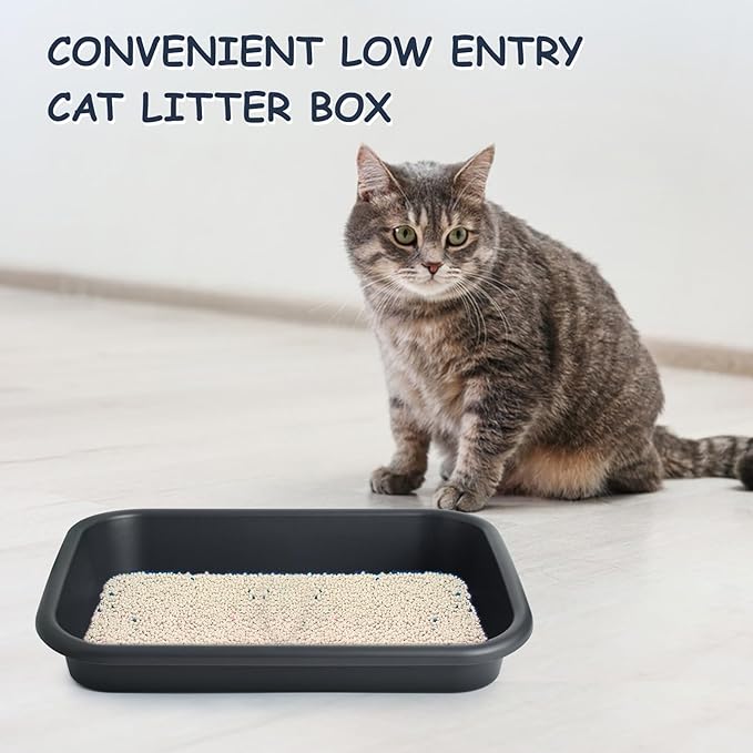 3 Pcs Large Cat Litter Box, Low Entry Senior Cat Litter Box Open Top Pet Litter Boxes Tray for Big Older Cats Kitten Sick Frail or Disabled Cat, 23.2" L x 16.5" W (Dark Gray)
