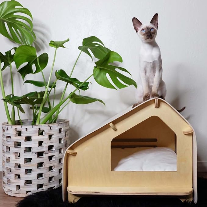 RAWRY Cat House – Covered Indoor Pet Bed with Cushion & Scratcher | Wood Cat Scratcher House for Cats, Kittens, Small Dogs