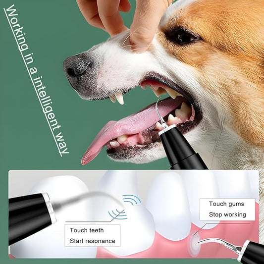 Dog Plaque Tartar Remover Pet Ultrasonic Cleaner Cat Tooth Cleaning for Cat Dog Dental Care