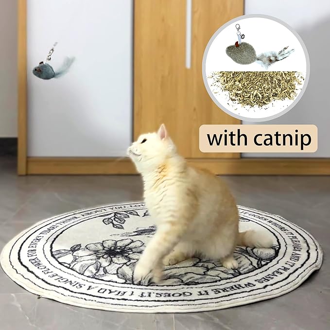 Cat Toy Feather Refills 5PCS with Bell,Clasp - Undyed Natural Cat Wand Refill Attachments Mouse,Feather,Bird for Bored Indoor Cats, Kittens to Chase and Exercise, Include Fishing Line