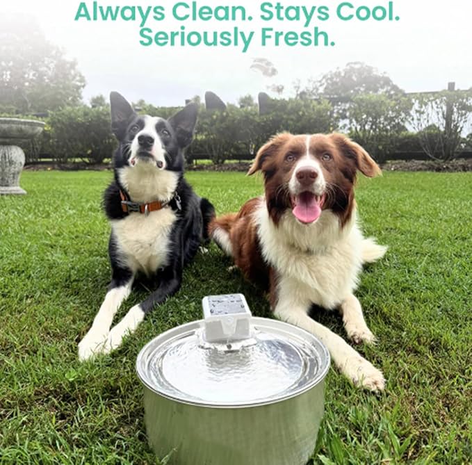Flowzy Water Fountain, Flowzy Dog Water Fountain, 7L/1.8 Gal Stainless Steel Pet Water Fountain with Motion Sensor,Wireless Ultra-Quiet,3 Modes&5000mAH,Multi-Filtered with 8 Filters (Standard, 1)