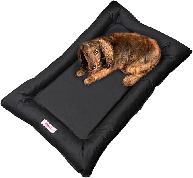 DBD3004E-L Archie 39" x 23" Traditional Oxford Waterproof Indoor/Outdoor Hand-Washable Memory Foam Camping Pet Bed, Ink