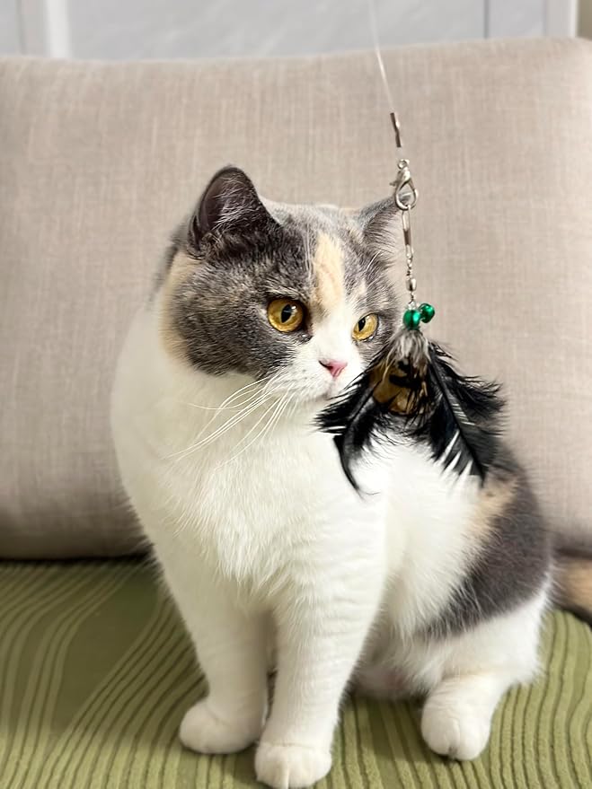 Cat Toy Feather Refills 5PCS with Bell,Clasp - Undyed Natural Cat Wand Refill Attachments Mouse,Feather,Bird for Bored Indoor Cats, Kittens to Chase and Exercise, Include Fishing Line