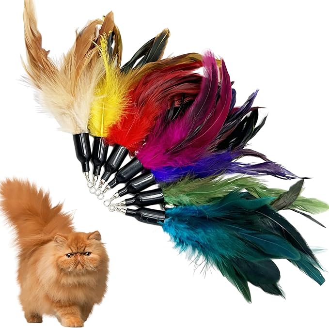 Cat Feather Toys Refill, 16 Pieces Cat Wand Replacement Feathers Toy for Indoor Cats