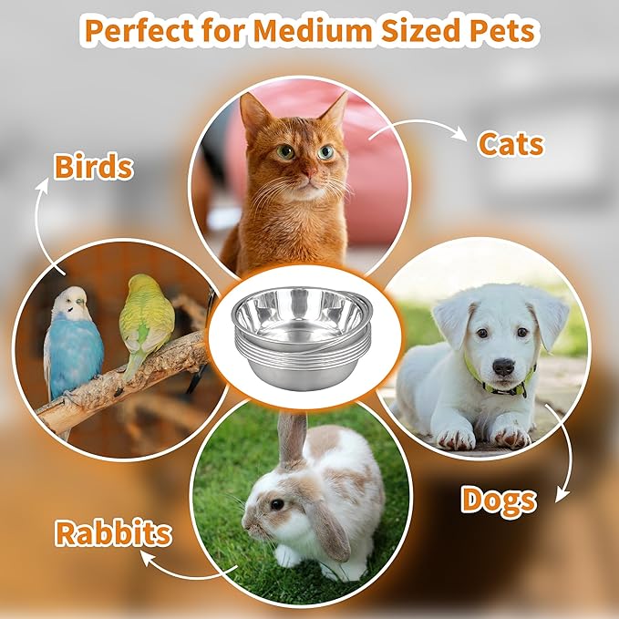 8pcs Stainless Steel Cat Bowls for Indoor Cats, 5.6" Metal Puppy Bowls Small Dog Water Bowl, 13 OZ Kitten Food Bowl Shallow Pet Bowls, Easy to Clean Cat Dishes for Food and Water