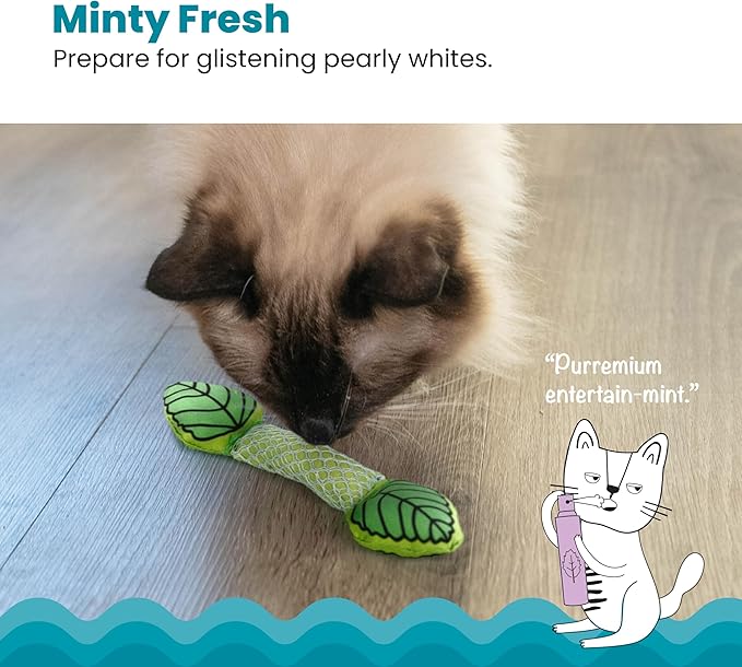 Petstages Fresh Breath Mint Stick Dental Cat Chew Toy