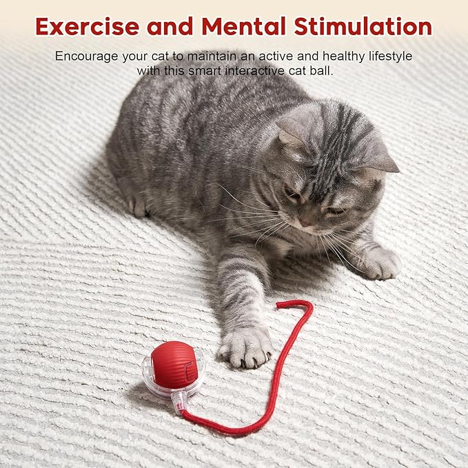 Interactive Dog & Cat Electric Active Toys, Smart Rolling Ball for Dogs & Cats, 360° Smart Automatic Rolling Pet Ball, Fast Moving Toy for Bored Indoor Kitty, Rechargeable(Red)