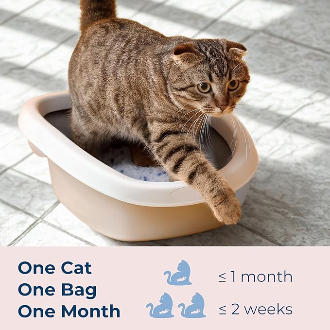 Gatitos Cat Litter Crystals Non Clumping Unscented Silica Gel Cat Litter Lightweight Ultra Absorbment Superior Odor Control Dust Free Low Tracking for Less Mess 4.6LB/Pack*2