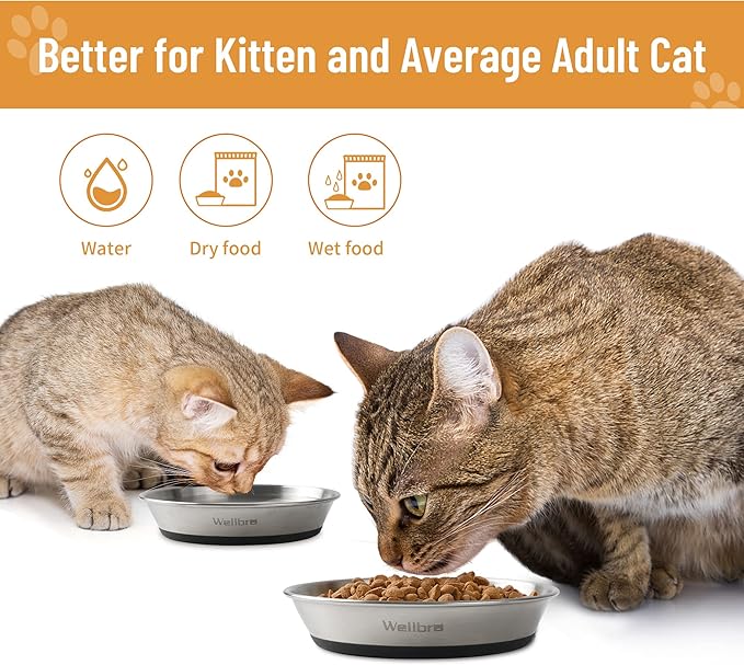 Cat Bowls, 2 Pcs Stainless Steel Cat Bowls for Food and Water, Whisker Fatigue Shallow Non-Slip Dishes Plates for Small Dog Puppies Cats