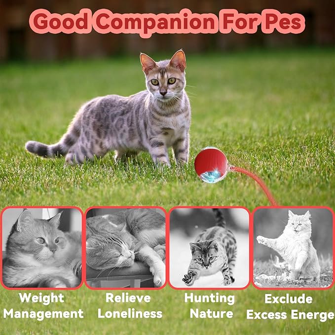 Interactive Cat Toys for Indoor Cats, Automatic Cat Toy with Elastic Mesh Tail, Electric Rolling Ball on Carpet, Chirping and Motion Activate Cat (Yellow)