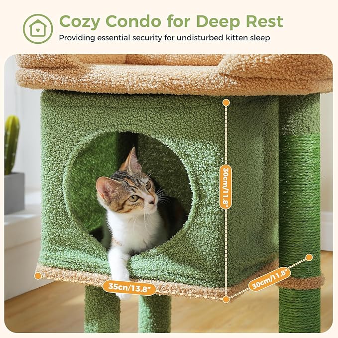 PAWZ Road Cat Tree for Indoor Cats, 26 Inches Cactus Cat Tower with Large Perch, Private Condo, Small Cat Condo with Spring Ball & 2 Scratching Posts for Cats