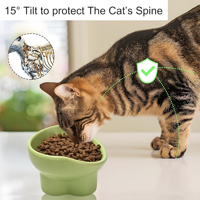 Ceramic Raised Cat Bowl,Elevated Tilted Anti Vomit Cat Bowls for Indoor Cats Whisker Friendly Pet Feeder for Food and Water,Cute Tilted Dish for Flat Faced Cats,Puppies