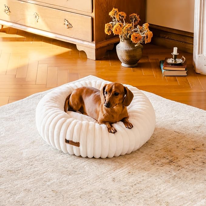 MEWOOFUN Donut Dog Beds for Small Dog, Calming Bed Round Cute Puppy Bed with Non-Slip Bottom, Fluffy Washable Pet Bed for Puppy and Kitten (Cream, S (25x25x7))