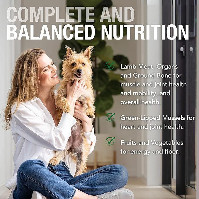 K9 Natural Wet Dog Food Pate, Lamb Feast, 13 Oz Cans (Pack of 12), Grain Free, Made in New Zealand with Grass-Fed, Free-Range Lamb, Single Source, Limited Ingredient