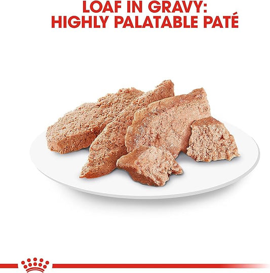 Royal Canin® Feline Breed Nutrition™ Persian Adult Loaf in Sauce Canned Cat Food, 3 oz, 24-Pack